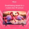 VIZIO 65 inch 4K UHD HDR Smart TV review reveals stunning visuals and features VIZIO 65 inch 4K UHD HDR Smart TV review reveals stunning visuals and features