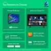 VIZIO D-Series 43-inch Smart TV review highlights stunning 1080p performance and gaming features VIZIO D-Series 43-inch Smart TV review highlights stunning 1080p performance and gaming features